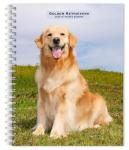 Golden Retrievers | 2026 6 x 7.75 Inch Spiral-Bound Wire-O Weekly Engagement Planner Calendar | New Full-Color Image Every Week | BrownTrout | Animals Dog Breeds Pets
