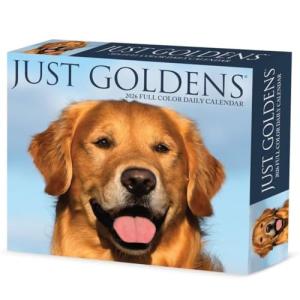 Willow Creek Press, Just Goldens 2026 Desk Calendar, 6.18'' X 5.43'', Daily Calendar with Adhesive Binding