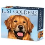 Willow Creek Press, Just Goldens 2026 Desk Calendar, 6.18'' X 5.43'', Daily Calendar with Adhesive Binding