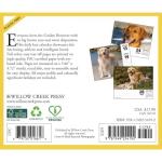 Willow Creek Press, Just Goldens 2026 Desk Calendar, 6.18'' X 5.43'', Daily Calendar with Adhesive Binding