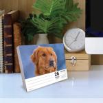 Willow Creek Press, Just Goldens 2026 Desk Calendar, 6.18'' X 5.43'', Daily Calendar with Adhesive Binding