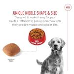 Royal Canin Golden Retriever Adult Dry Dog Food, 30 lb bag