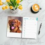 Golden Retrievers | 2026 6 x 7.75 Inch Spiral-Bound Wire-O Weekly Engagement Planner Calendar | New Full-Color Image Every Week | BrownTrout | Animals Dog Breeds Pets