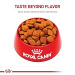 Royal Canin Golden Retriever Adult Dry Dog Food, 30 lb bag
