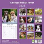 American Pit Bull Terrier 2026 Calendar | Square Wall Calendar | Dog Breed Gift | Plastic Free Packaging | by Avonside Publishing