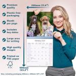 American Pit Bull Terrier 2026 Calendar | Square Wall Calendar | Dog Breed Gift | Plastic Free Packaging | by Avonside Publishing