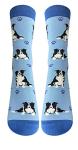 Pet Lover Socks - Fun - All Season - One Size Fits Most - For Women And Men – Dog Gifts (Border Collie)