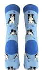 Pet Lover Socks - Fun - All Season - One Size Fits Most - For Women And Men – Dog Gifts (Border Collie)
