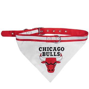 Chicago Bulls Reflective Dog Bandana and Collar