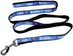 Oklahoma City Thunder Large Dog Leash with Swivel Buckle