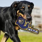 Milwaukee Brewers Dog Toy - Tough & Fun