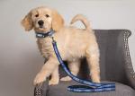 Oklahoma City Thunder Large Dog Leash with Swivel Buckle