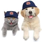 Auburn Tigers Pet Baseball Hat in Team Color