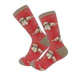 Pet Lover Socks for Dog Lovers - Fun Design