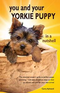 Yorkie Puppy Parenting Guide: Easy Care Tips