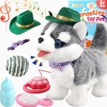 Interactive Plush Talking Husky Dog Toy