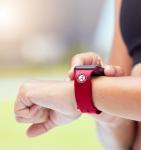 Alabama Crimson Tide Apple Watch Band for Dogs