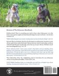 Miniature Schnauzer Training and Care Guide