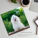 Dog Photography Wall Calendar 2026 – Rescue Dogs