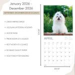 Dog Photography Wall Calendar 2026 – Rescue Dogs