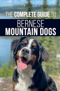 The Essential Guide to Bernese Mountain Dogs