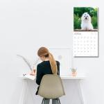 Dog Photography Wall Calendar 2026 – Rescue Dogs