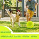 Oversized 9.5" Dog Tennis Ball for Fun Play
