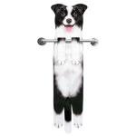 Funny Dog Towels for Kitchen and Bathroom