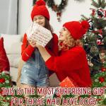 Boston Terrier Christmas Decorations for Dog Lovers