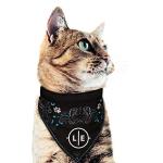 Philadelphia Flyers Pet Bandana for Dogs