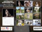 Australian Shepherd 2026 Monthly Wall Calendar