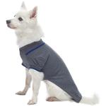Blueberry Pet School Polo Shirts for Small Dogs