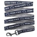 Penn State Nittany Lions Pet String for Dogs