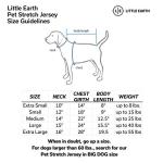 South Carolina Gamecocks Pet Jersey for Dogs