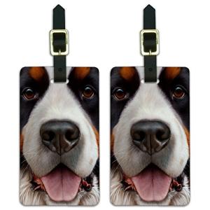 Bernese Mountain Dog ID Tags - Set of 2