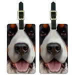 Bernese Mountain Dog ID Tags - Set of 2