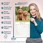 Poodle 2026 Wall Calendar for Dog Lovers