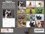 2026 French Bulldog Wall Calendar for Dog Lovers
