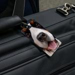 Bernese Mountain Dog ID Tags - Set of 2