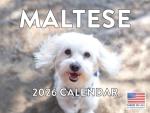 Maltese 2026 Wall Calendar for Dog Lovers