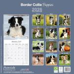Border Collie Puppies 2026 Wall Calendar
