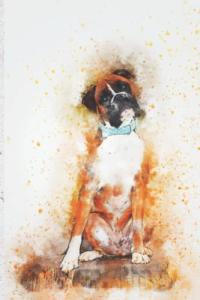 Boxer Dog Watercolor Art Notebook