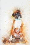 Boxer Dog Watercolor Art Notebook