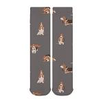 Cozy Basset Hound Cold Weather Dog Socks