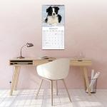 Border Collie Puppies 2026 Wall Calendar
