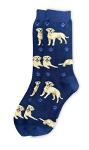 Funny Dog Lover Socks for All Seasons