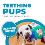 Outward Hound Hedgehog Dog Chew Toy, Blue