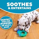 Outward Hound Hedgehog Dog Chew Toy, Blue