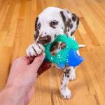 Outward Hound Hedgehog Dog Chew Toy, Blue