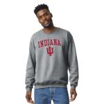 Hoosiers Crewneck Sweatshirt for Dog Lovers